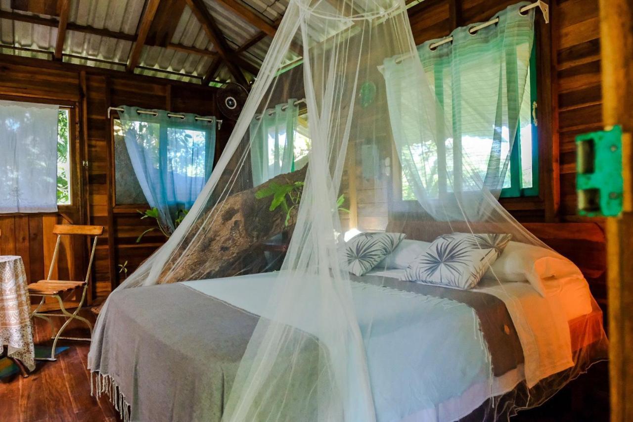 Playa Grande Lodge & Tree House Cahuita Exterior photo