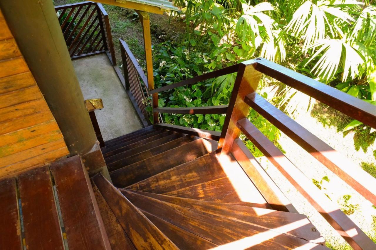 Playa Grande Lodge & Tree House Cahuita Exterior photo