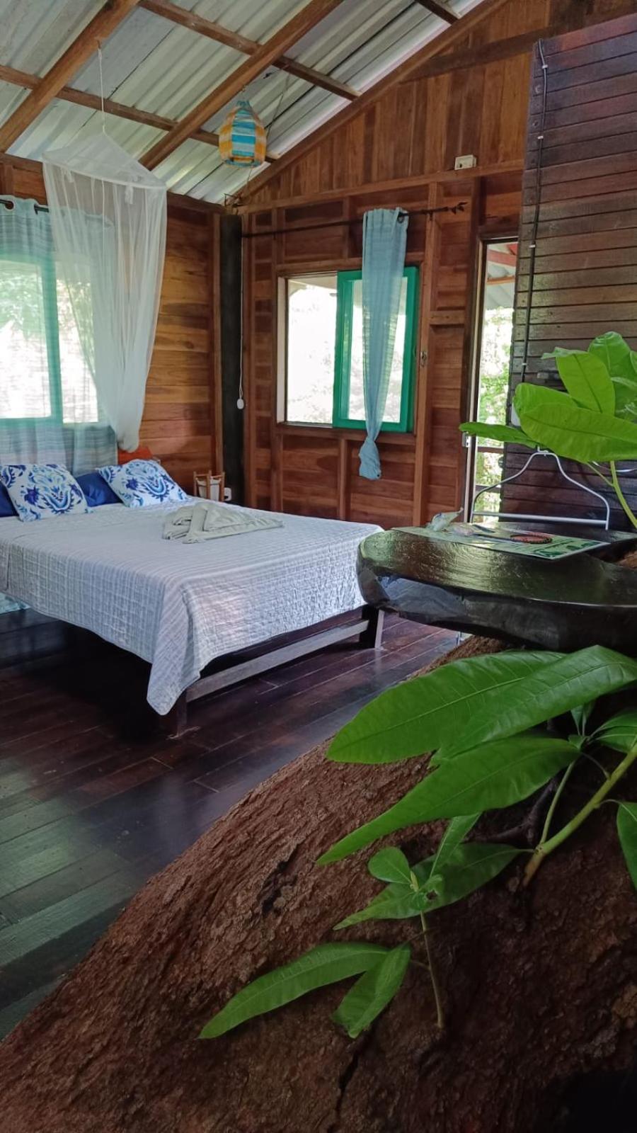 Playa Grande Lodge & Tree House Cahuita Exterior photo