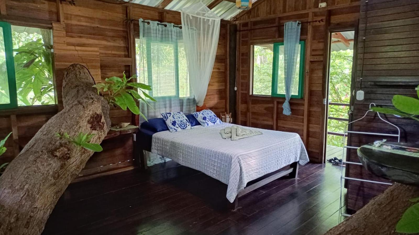 Playa Grande Lodge & Tree House Cahuita Exterior photo
