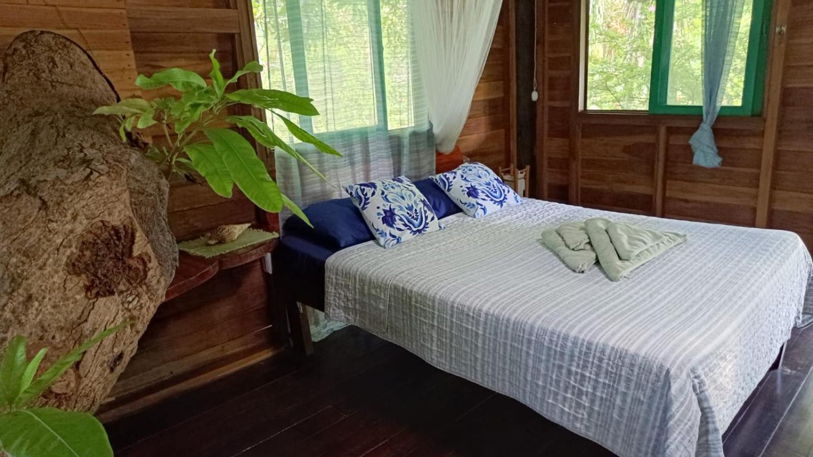 Playa Grande Lodge & Tree House Cahuita Exterior photo