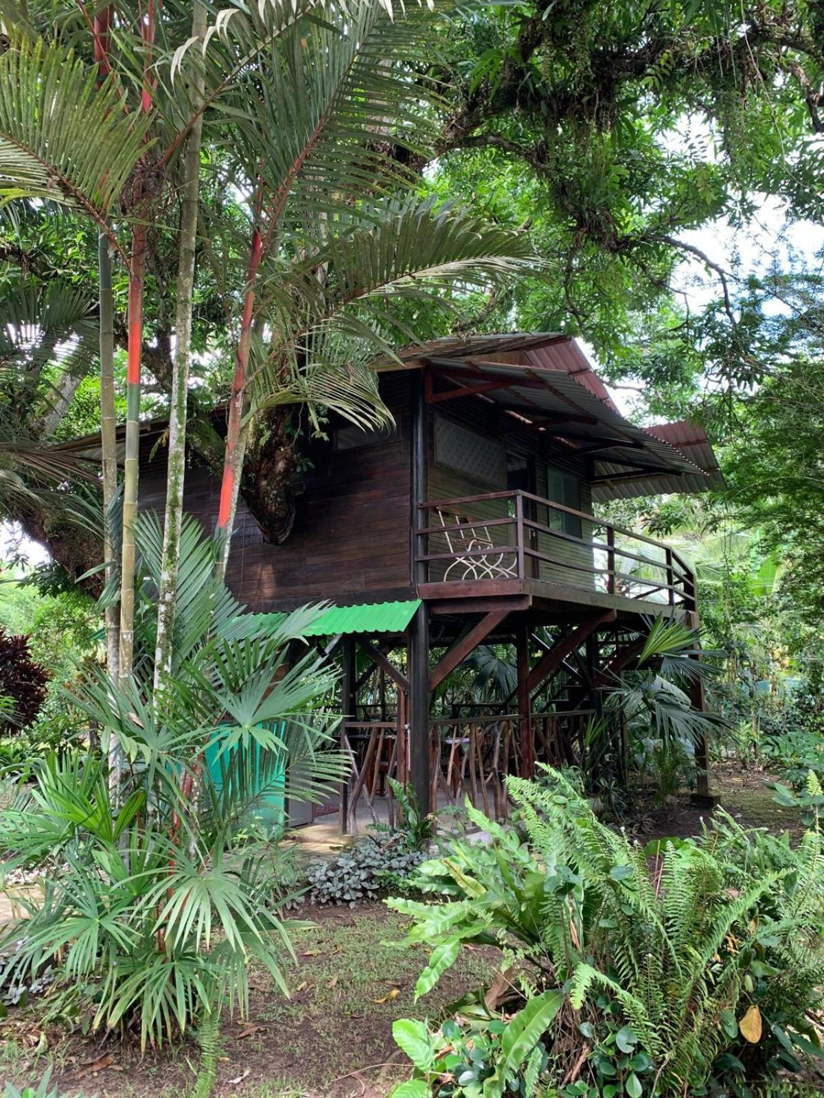 Playa Grande Lodge & Tree House Cahuita Exterior photo