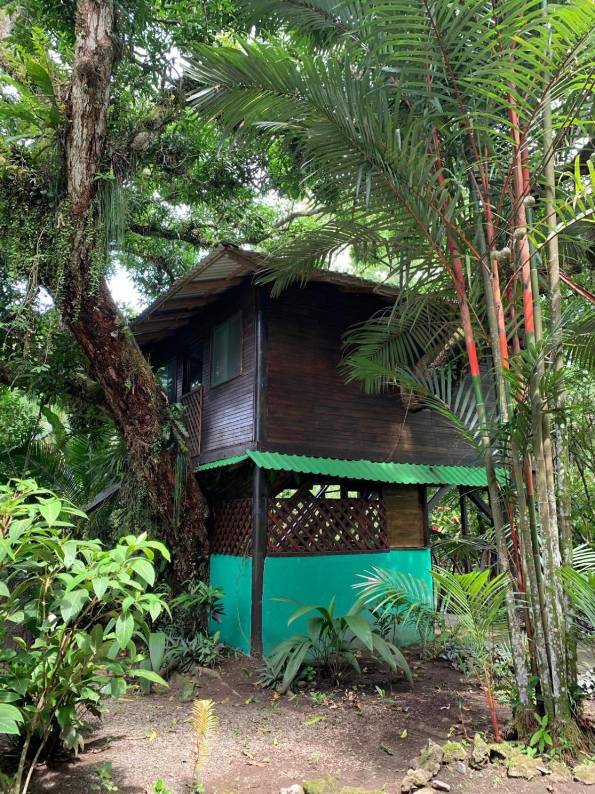 Playa Grande Lodge & Tree House Cahuita Exterior photo