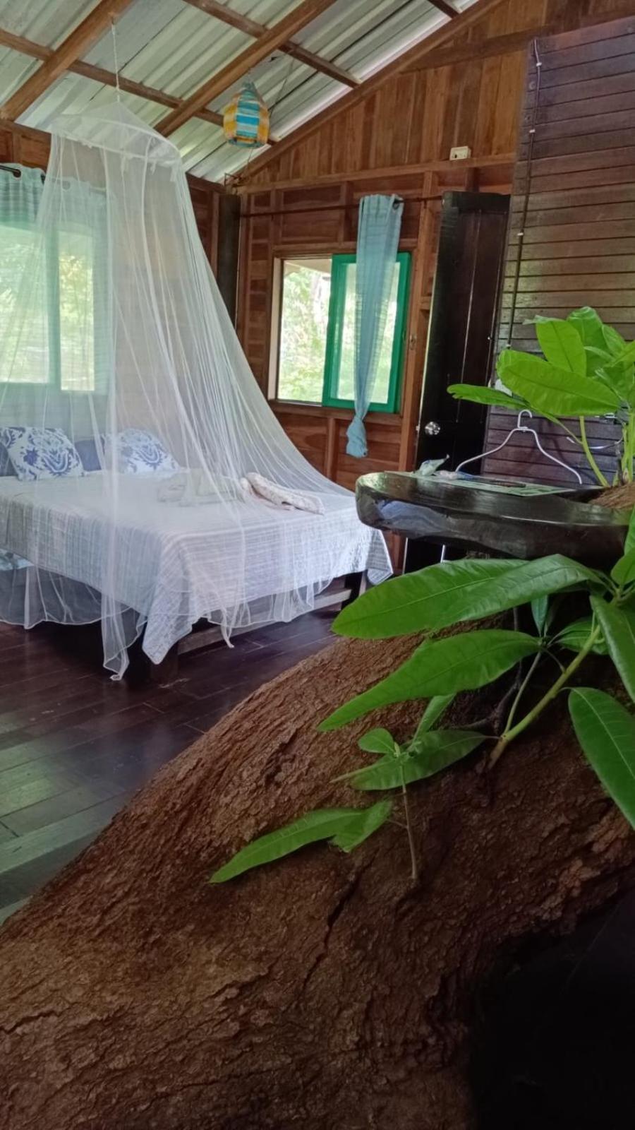 Playa Grande Lodge & Tree House Cahuita Exterior photo