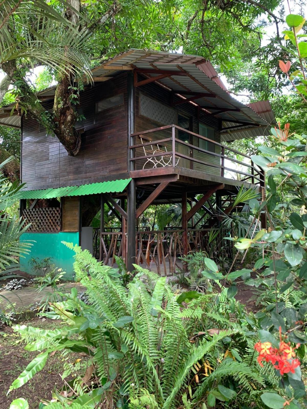 Playa Grande Lodge & Tree House Cahuita Exterior photo