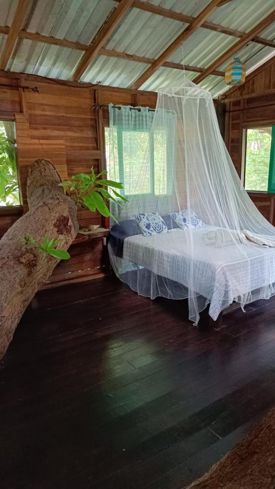 Playa Grande Lodge & Tree House Cahuita Exterior photo