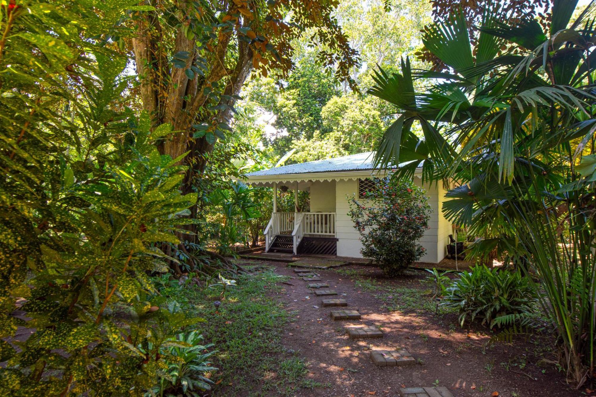 Playa Grande Lodge & Tree House Cahuita Exterior photo