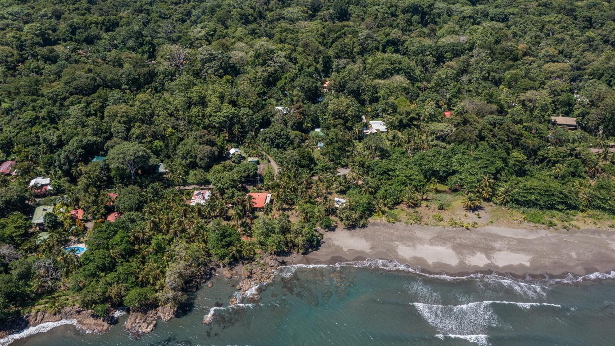 Playa Grande Lodge & Tree House Cahuita Exterior photo