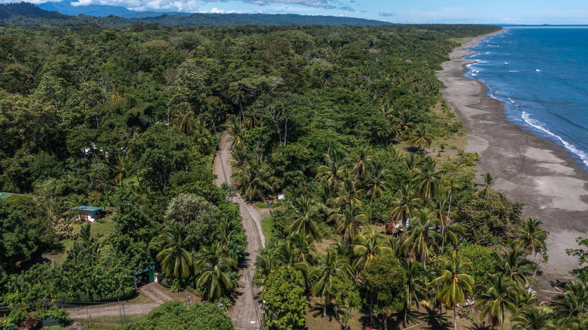 Playa Grande Lodge & Tree House Cahuita Exterior photo