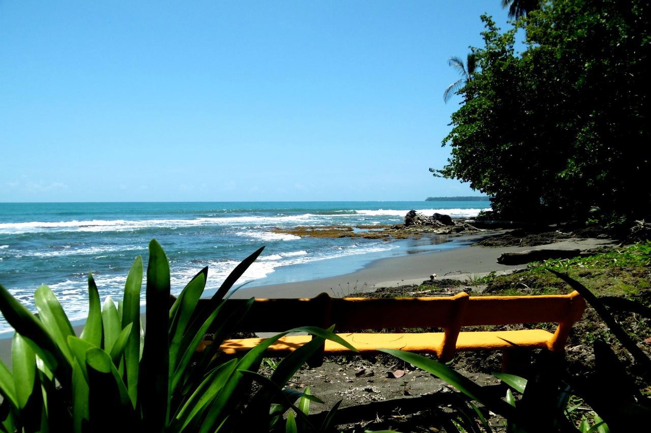 Playa Grande Lodge & Tree House Cahuita Exterior photo